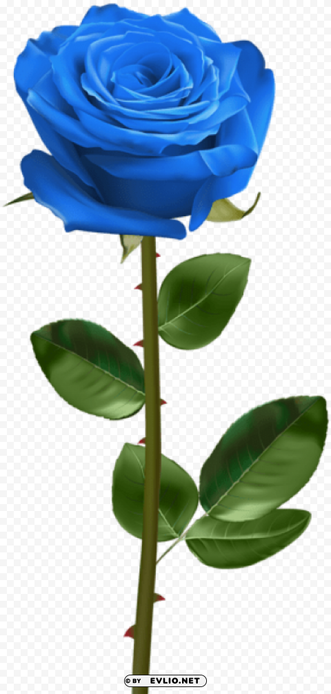 PNG image of blue rose with stem PNG images with alpha transparency wide selection with a clear background - Image ID c9f33c18