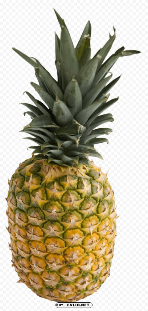 Pineapple Isolated Artwork on Transparent PNG
