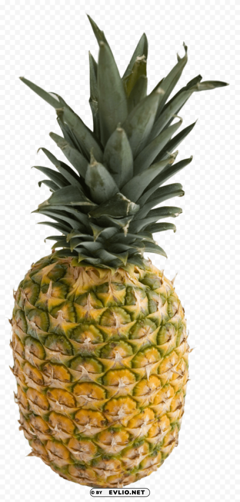 Pineapple Isolated Item On Clear Background PNG