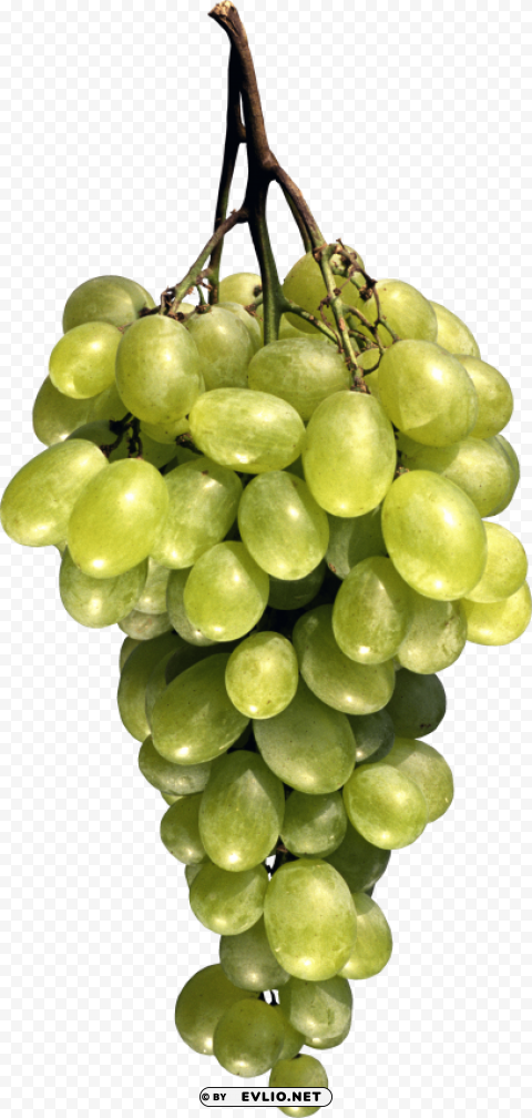 Grapes PNG Isolated