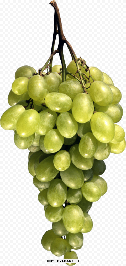 green grapes Isolated Subject on HighQuality PNG
