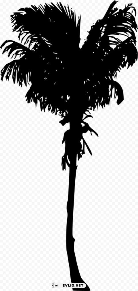 Palm Tree Isolated Icon On Transparent PNG