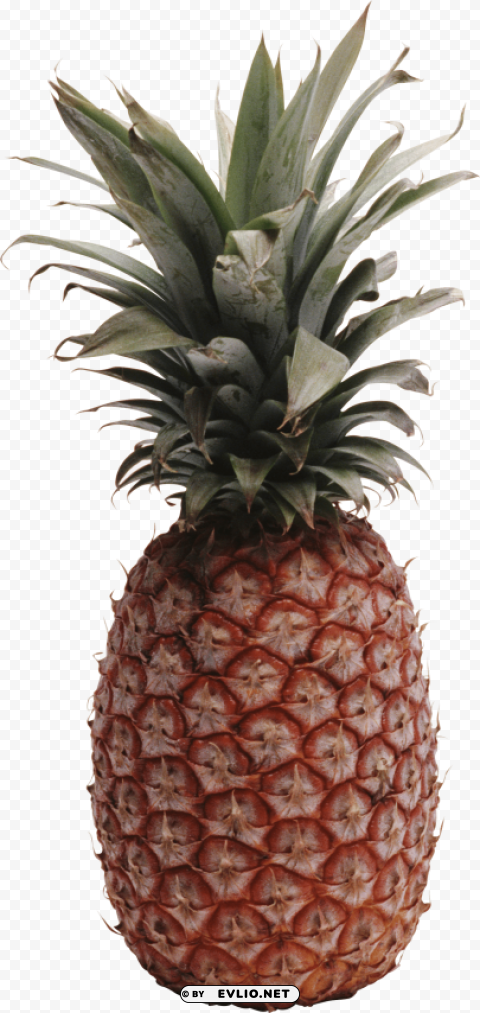 Pinapple PNG Image With Isolated Subject