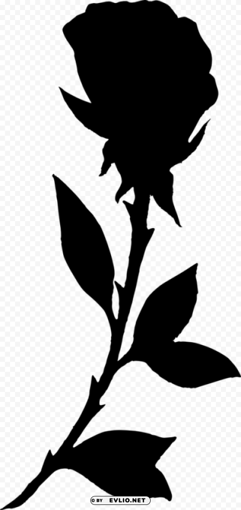 rose silhouette Isolated Object on Transparent PNG