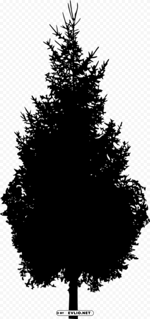Pine Tree Silhouette PNG Images With Transparent Canvas