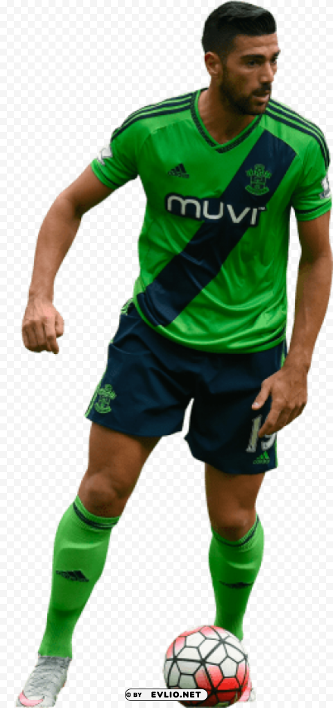 graziano pelle PNG Image with Clear Isolation