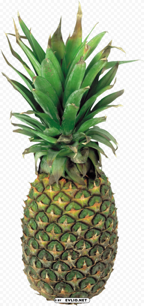 pineapple PNG images with alpha channel diverse selection