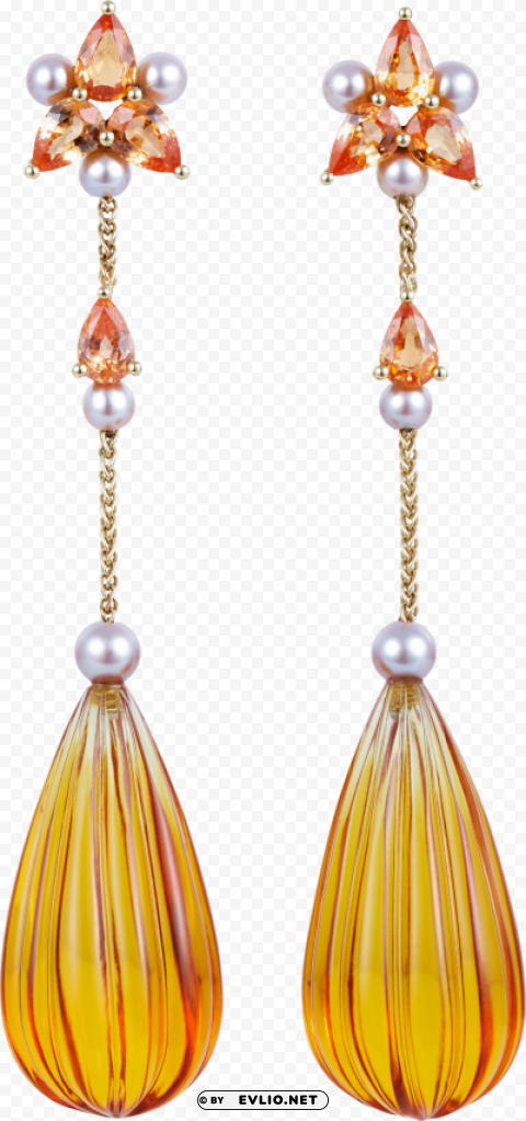 earring PNG for educational use