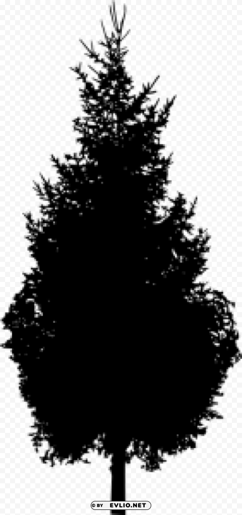 Pine Tree Silhouette PNG transparent photos mega collection