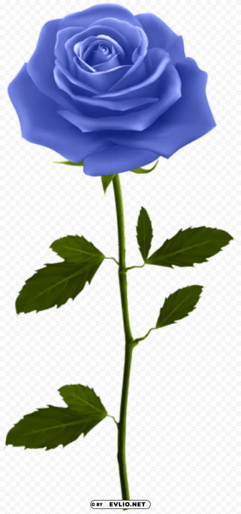 PNG image of blue rose with stem PNG transparent designs with a clear background - Image ID 125f4af7