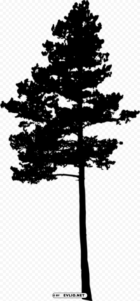 pine tree silhouette Transparent PNG Image Isolation