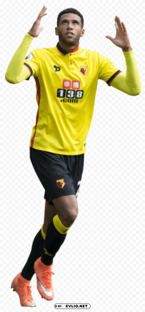 Etienne Capoue PNG Isolated Object With Clarity