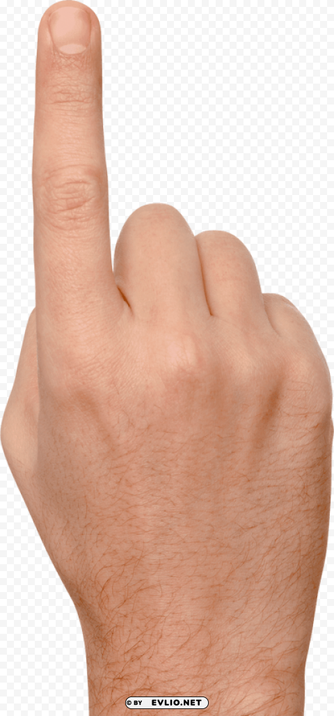 finger PNG files with clear background variety