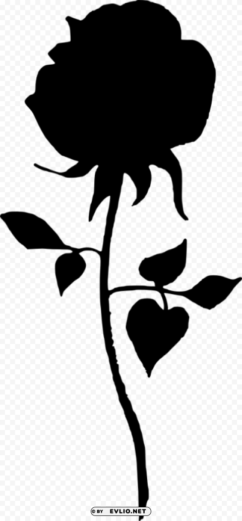 rose silhouette Isolated Subject in Transparent PNG Format