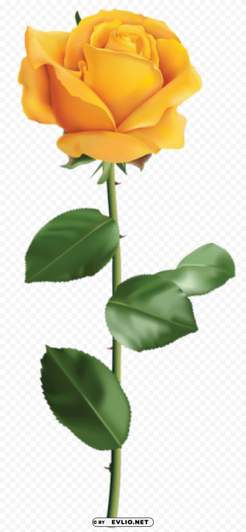 PNG image of yellow rose transparent Free PNG images with transparency collection with a clear background - Image ID d55b0d33