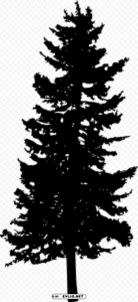Pine Tree Silhouette PNG with cutout background