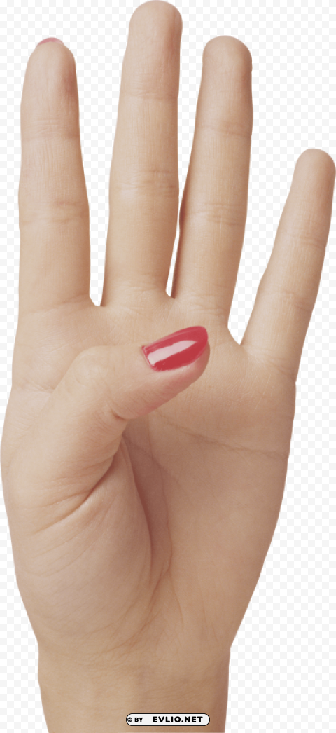 four finger hand Transparent PNG images extensive gallery