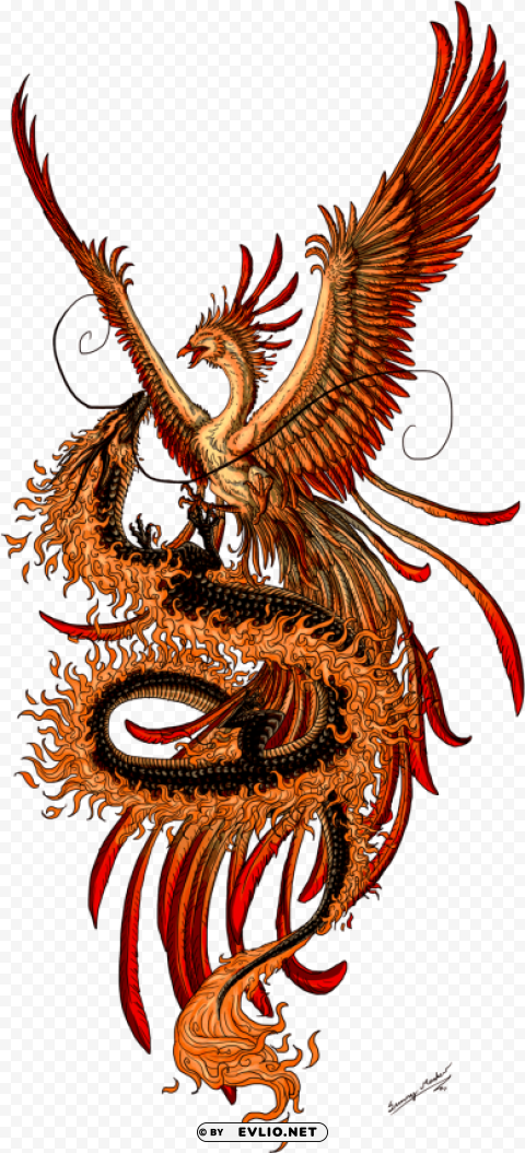 chinese phoenix tattoo Transparent PNG Isolated Graphic Element