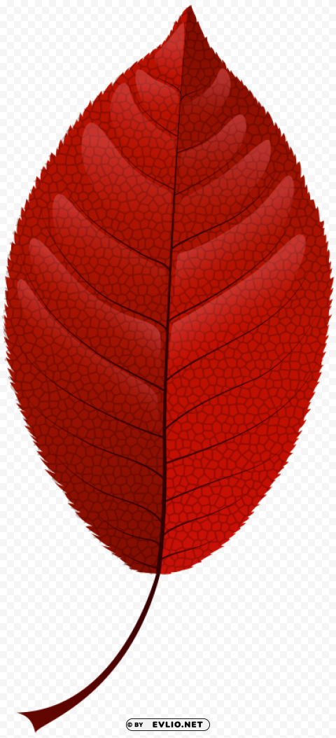 red fall leaf PNG images with no background essential