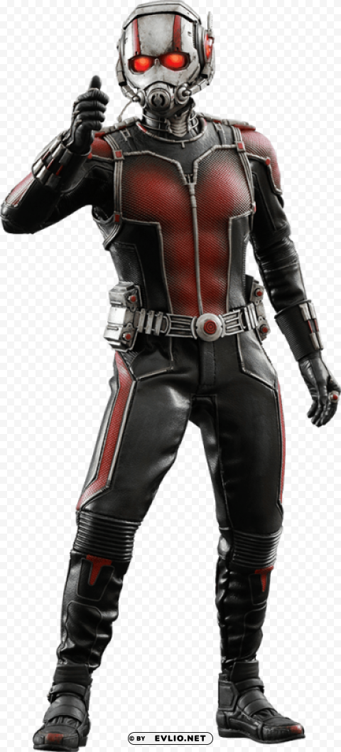 ant man standing Isolated Element on HighQuality PNG