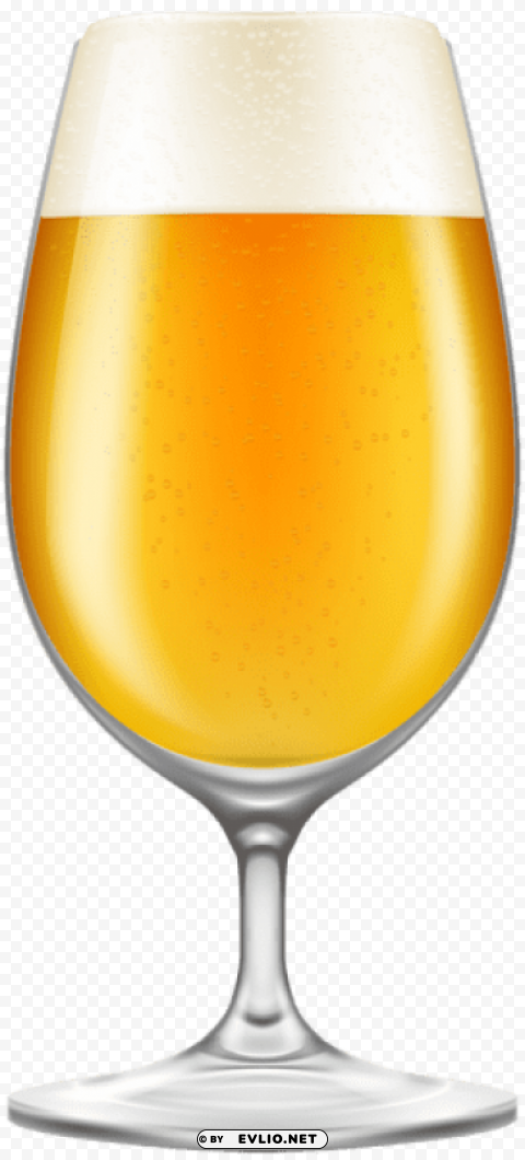 beer glass transparent PNG Image Isolated with High Clarity PNG images with transparent backgrounds - Image ID 51e12d33