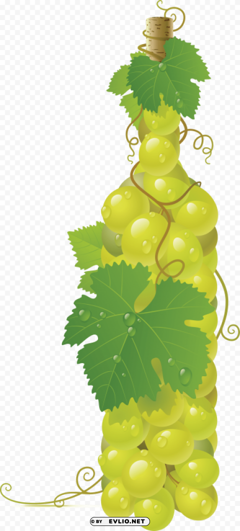 green grapes PNG no watermark