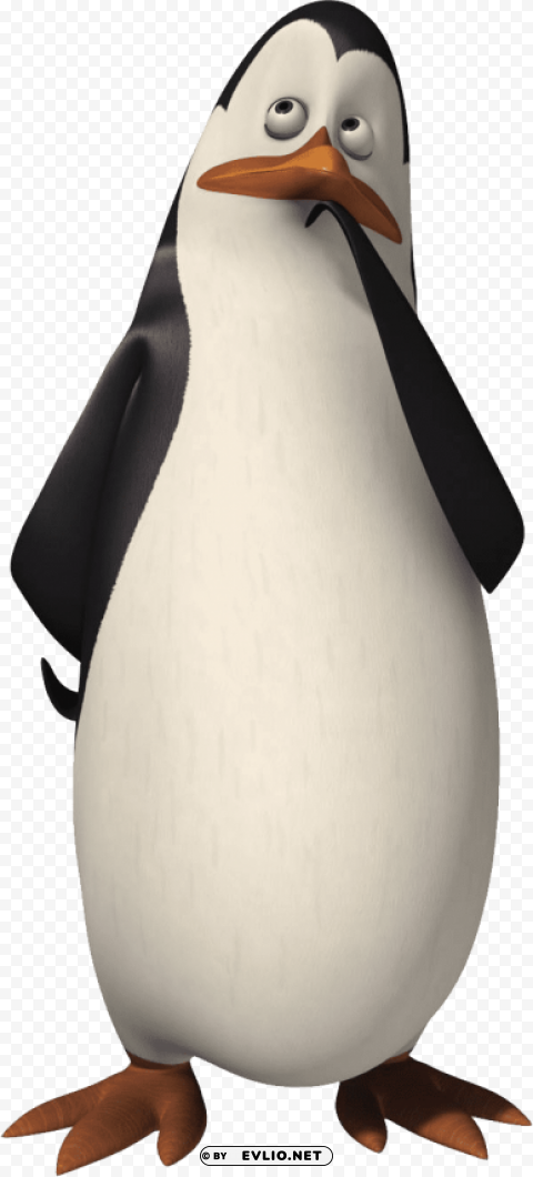 madagascar penguin Transparent PNG Object with Isolation