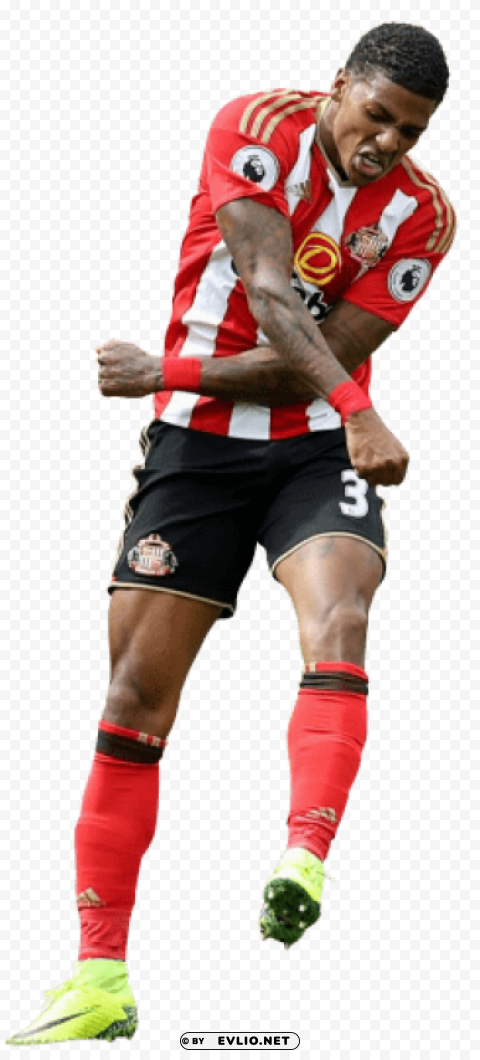 patrick van aanholt HighQuality PNG Isolated on Transparent Background