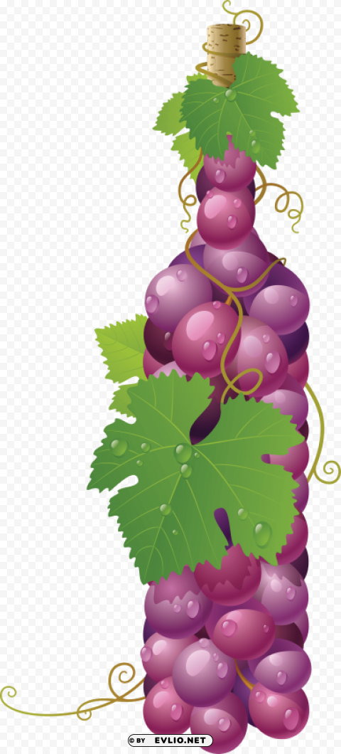 red grapes PNG Isolated Illustration with Clarity