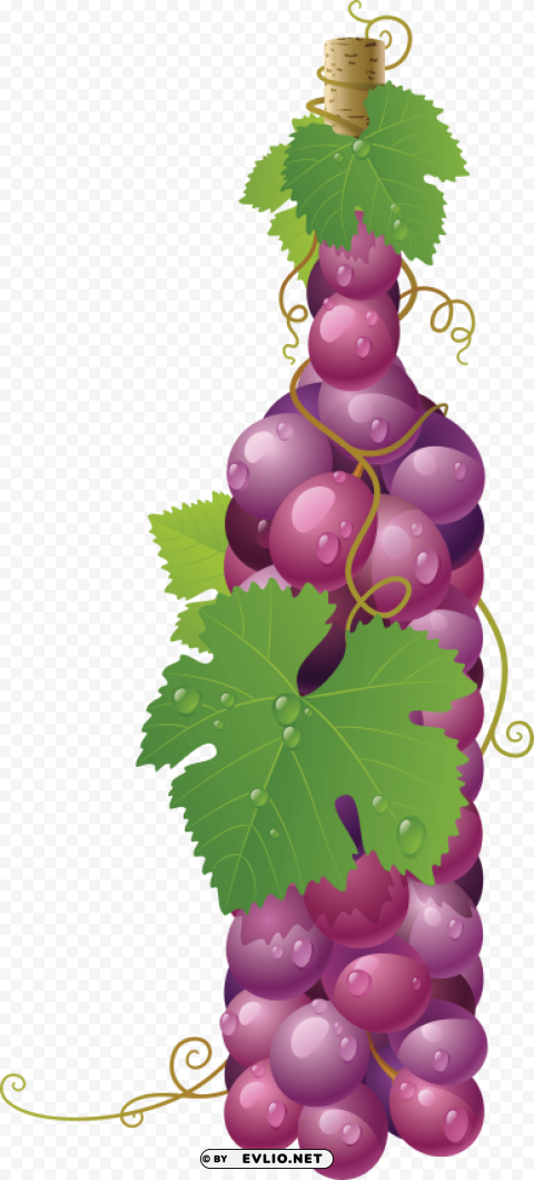 winebottle out of grapes Transparent PNG vectors clipart png photo - fe52096d