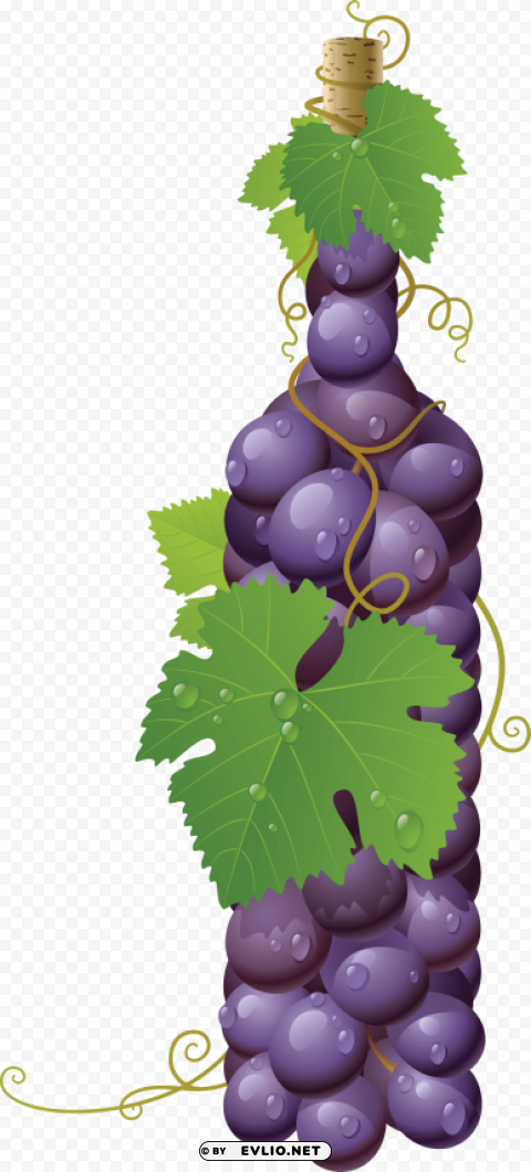 winebottle out of grapes Alpha channel PNGs