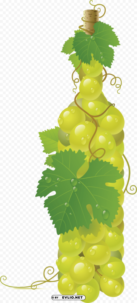 Winebottle Out Of Grapes Alpha Channel Transparent PNG