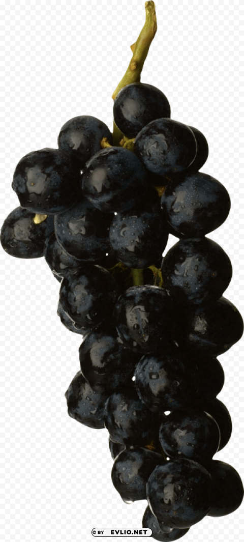 black grapes Isolated Object with Transparent Background in PNG