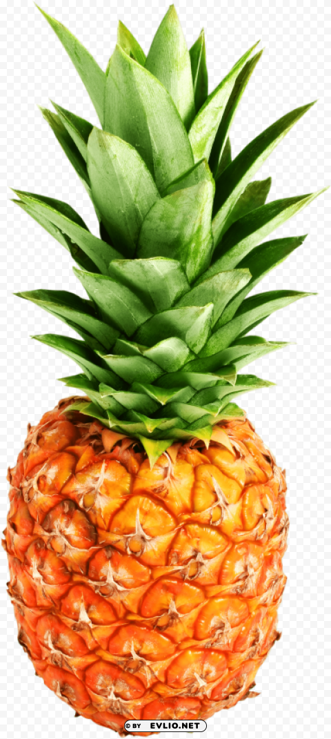pinapple PNG with alpha channel