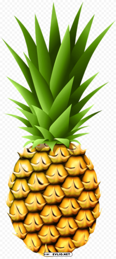 pineapple transparent Clear PNG