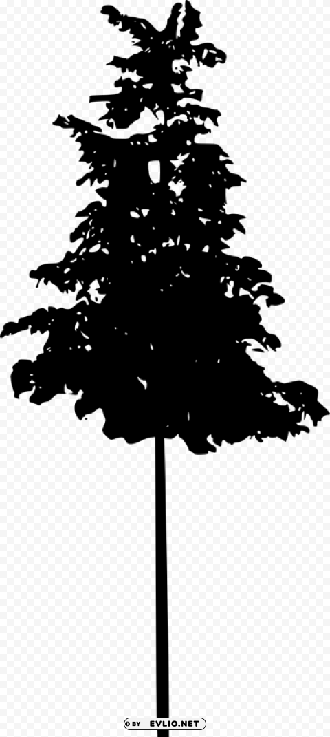 tree silhouette Isolated PNG Graphic with Transparency