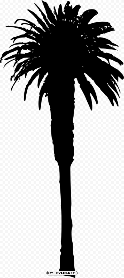Transparent palm tree Isolated Illustration on Transparent PNG PNG Image - ID 0cb73671