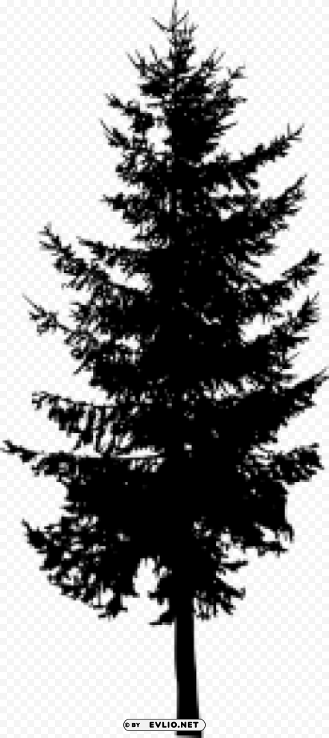 Pine Tree Silhouette PNG transparent stock images