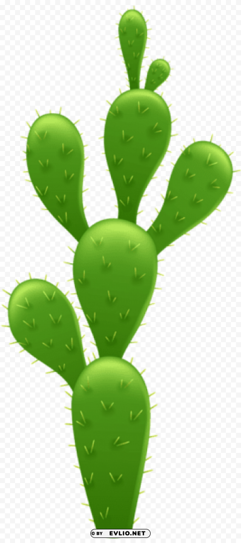cactus Isolated Item with Transparent PNG Background