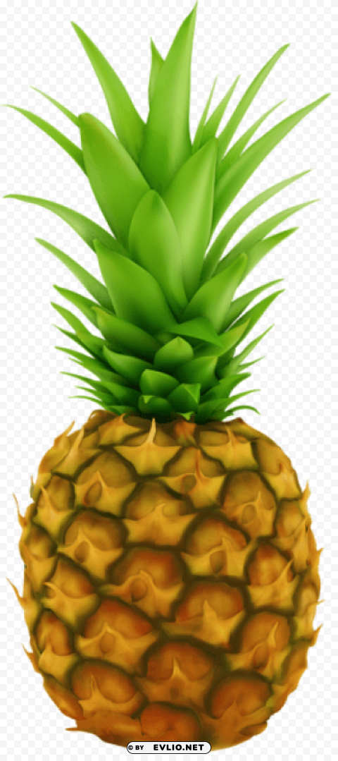 pineapple transparent Clear Background Isolation in PNG Format
