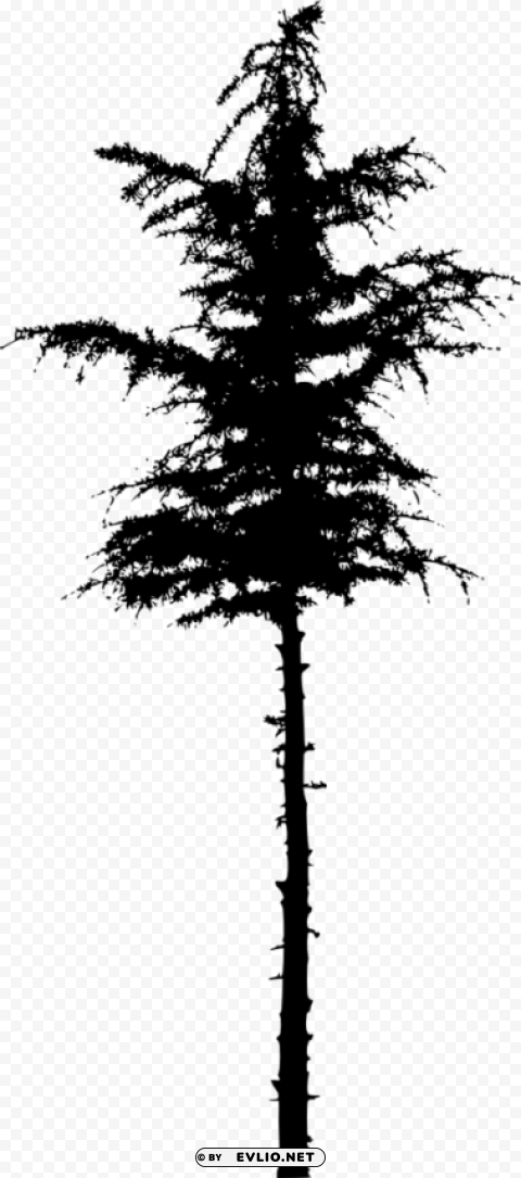 pine tree silhouette Transparent PNG images bundle