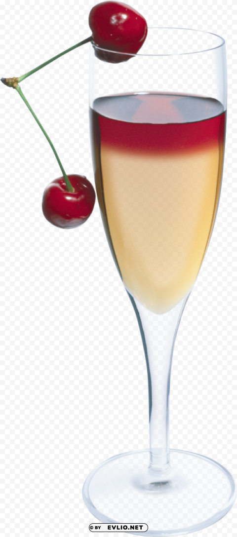 cocktail Isolated Item in Transparent PNG Format