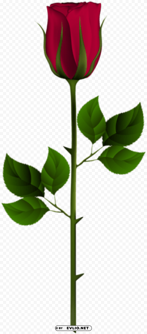 Red Rose Bud Transparent PNG Isolated Artwork