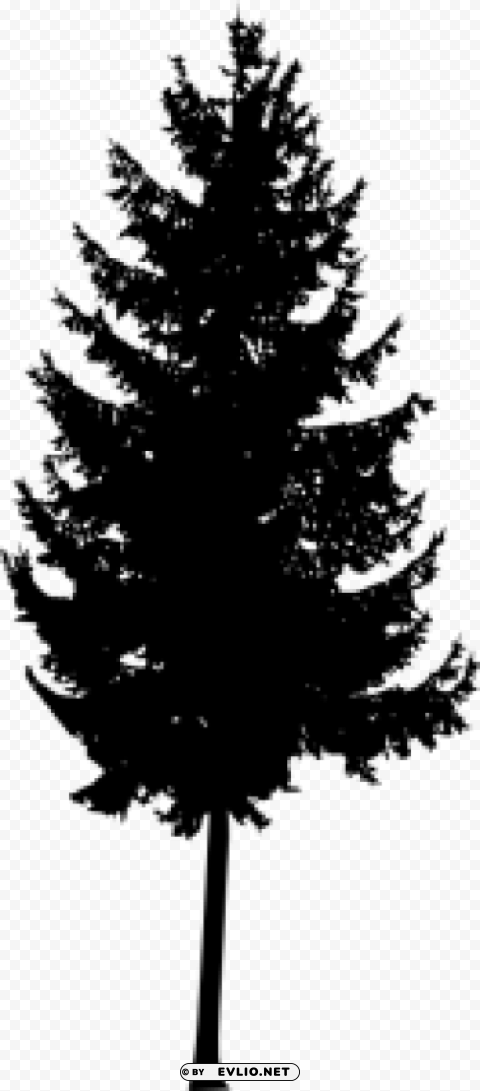 Pine Tree Silhouette PNG with clear background set