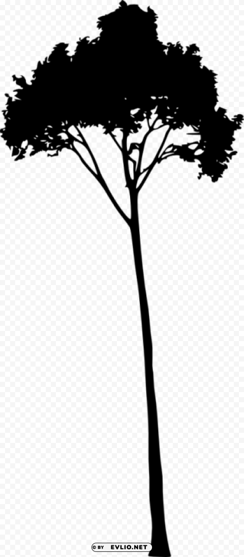 Tree Silhouette Transparent background PNG stock