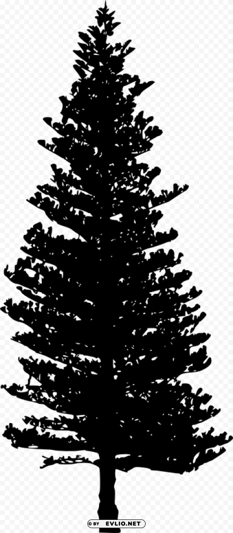 pine tree silhouette Isolated Character in Transparent PNG Format