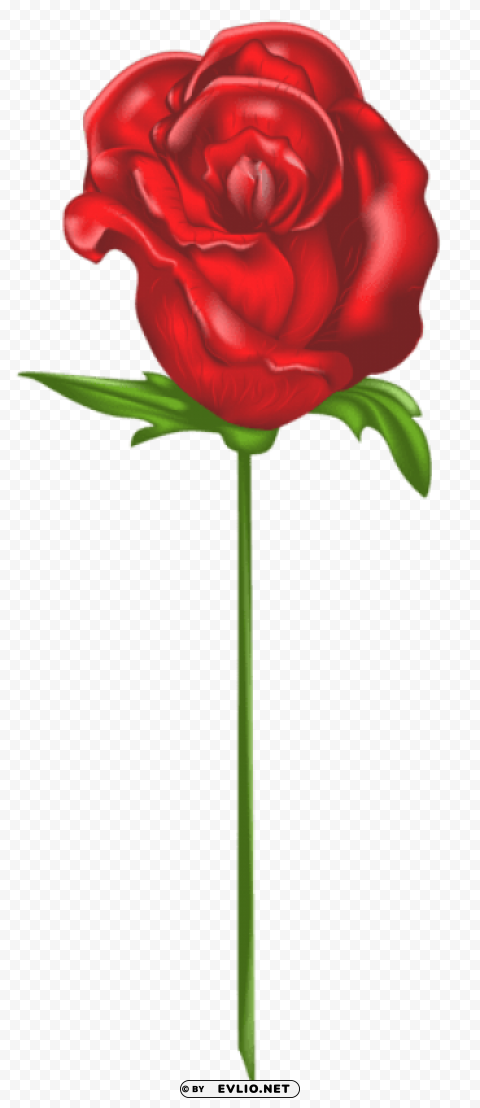 red rose Isolated Design Element in Clear Transparent PNG