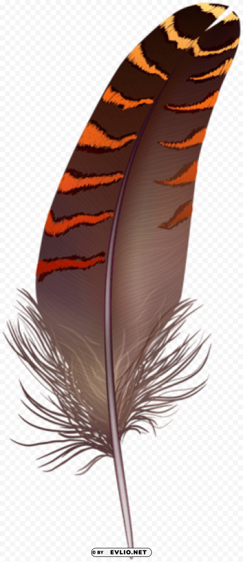 brown feather PNG images with clear background