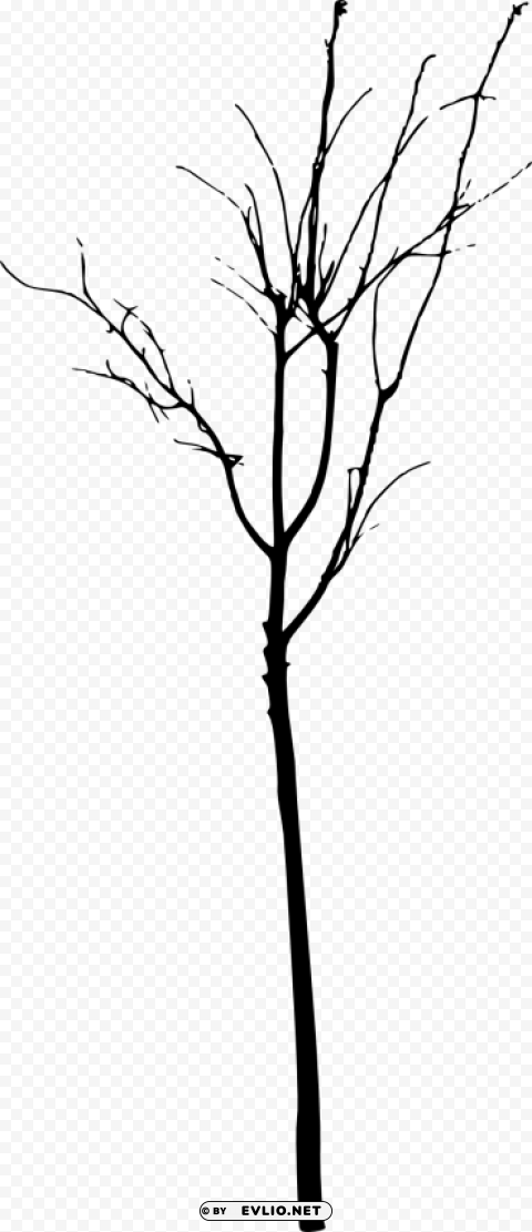 simple bare tree silhouette Isolated Artwork on Transparent Background PNG