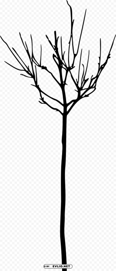 simple bare tree silhouette Isolated Artwork on Transparent Background